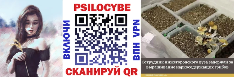 блэк спрут   Гагарин  Псилоцибиновые грибы Magic Shrooms 