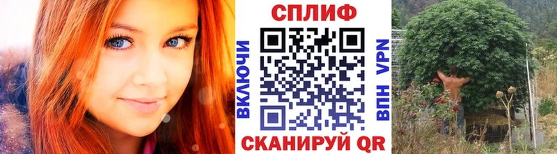 мега зеркало  Гагарин  Бошки Шишки марихуана  купить наркотик 